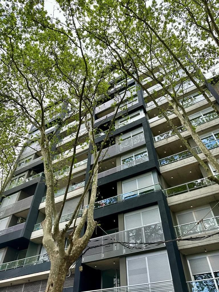 303 Sealine 2 - Vista 3