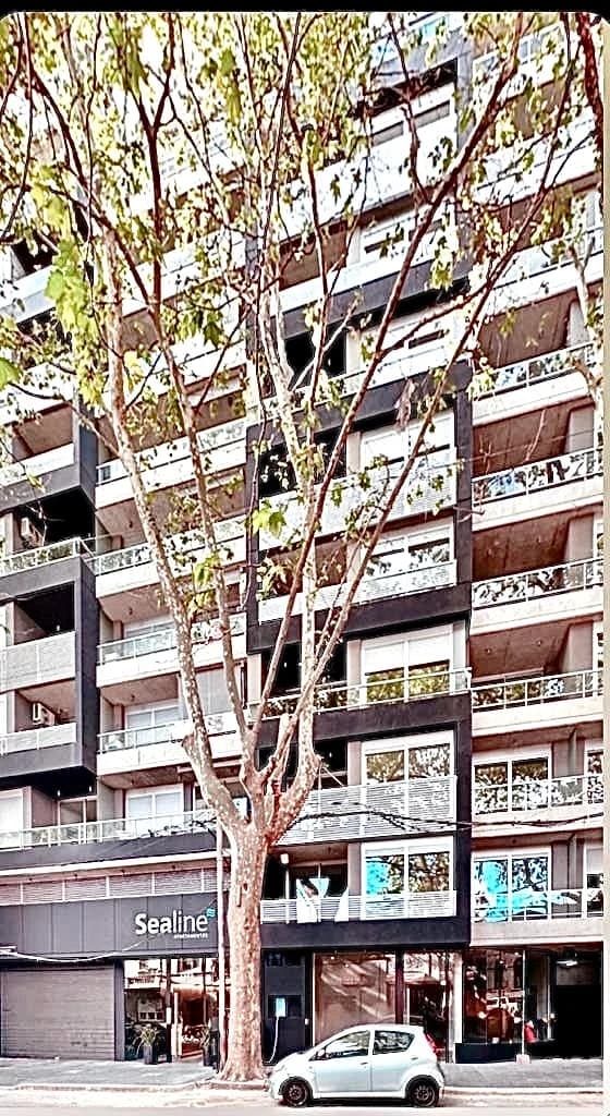 Amplio apartamento de 1 dormitorio en Cordón | Al balcón al norte, renta inmediata y Ley VIS. - Vista 21