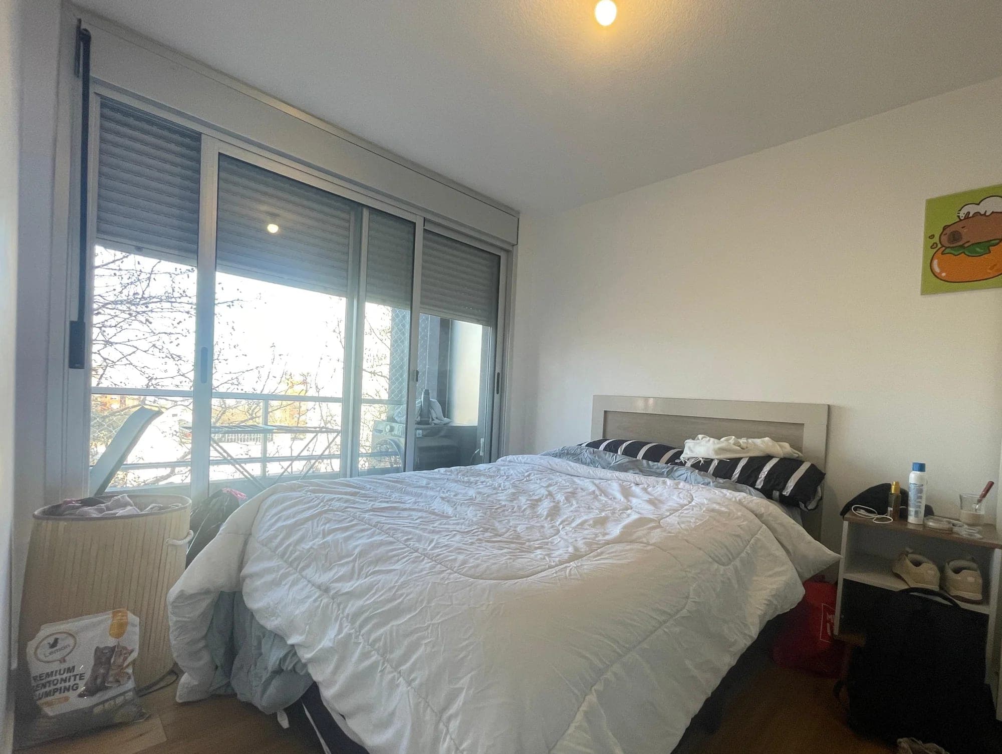 Venta de apartamento 1 dormitorio con renta en Cordón con Ley VIS - Vista 8